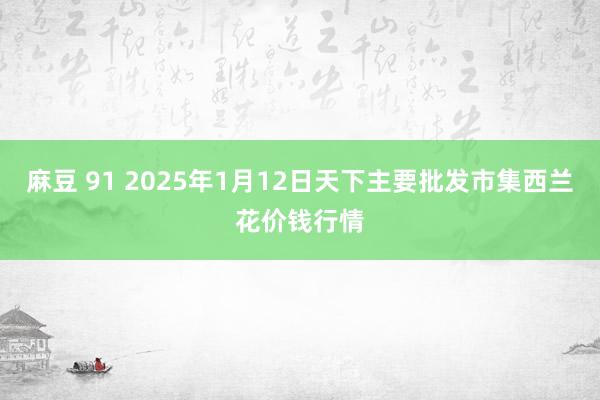 麻豆 91 2025年1月12日天下主要批发市集西兰花价钱行情