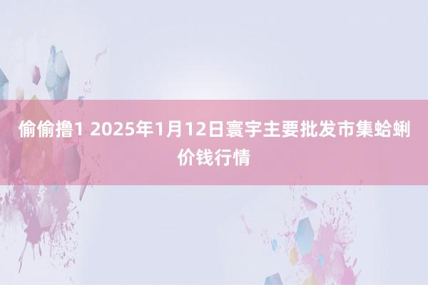 偷偷撸1 2025年1月12日寰宇主要批发市集蛤蜊价钱行情