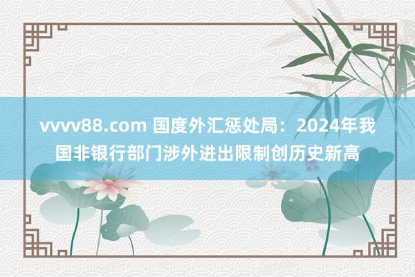 vvvv88.com 国度外汇惩处局：2024年我国非银行部门涉外进出限制创历史新高