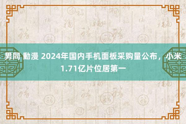 男同 動漫 2024年国内手机面板采购量公布，小米1.71亿片位居第一