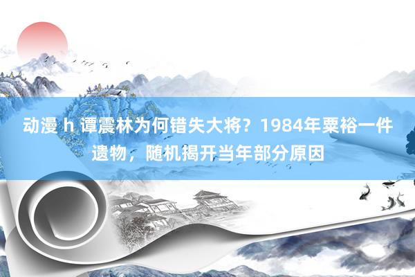 动漫 h 谭震林为何错失大将？1984年粟裕一件遗物，随机揭开当年部分原因