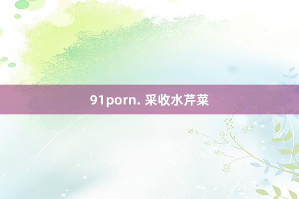 91porn. 采收水芹菜